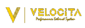 Larryporch-velocita